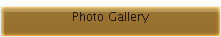 Photo Gallery